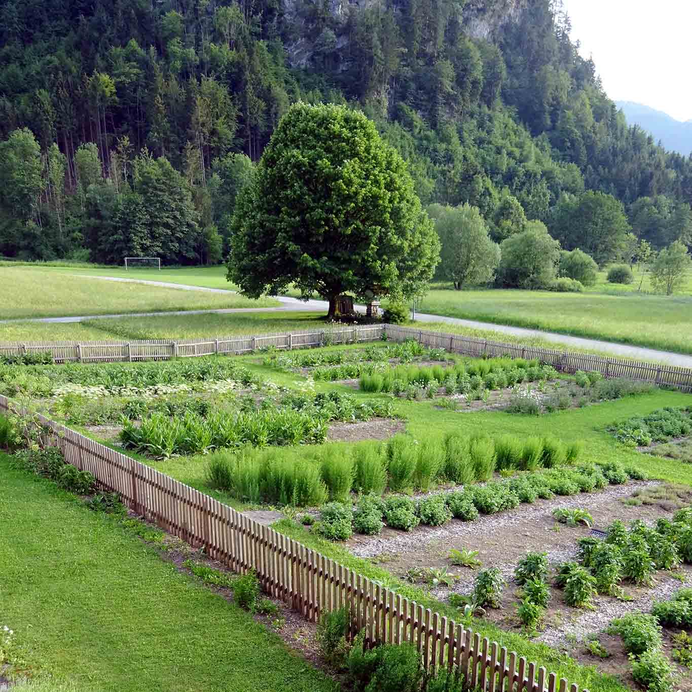 Klostergarten Gut Aich Kräuteranbau