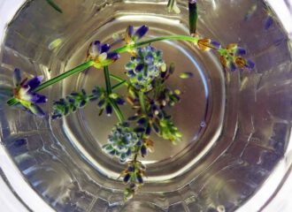 Lavendel ist der perfekte Stresskiller. Lavendelblütentee entspannt und schenkt positive Gedanken.