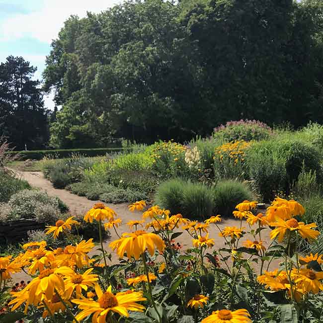 Neben den zahlreichen Berliner Attraktionen wirkt der Botanische Garten ein kostbares Kleinod im Grossformat.