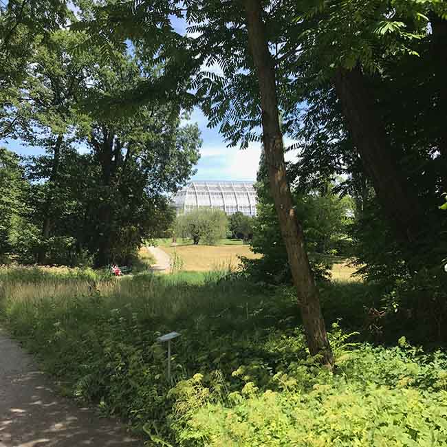 In die Parklandschaft eingebettet sind die Jugendstil Tropenhäuser.