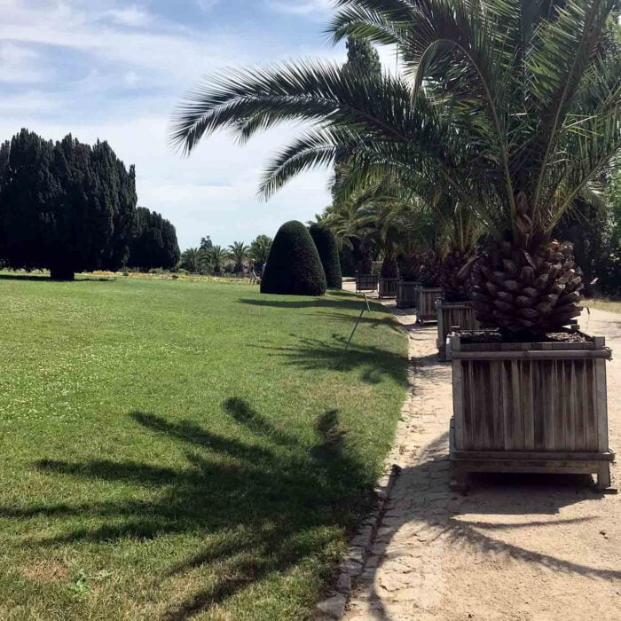 Palmenbestandene Alleen säumen das Terrain an den Tropenhäusern.