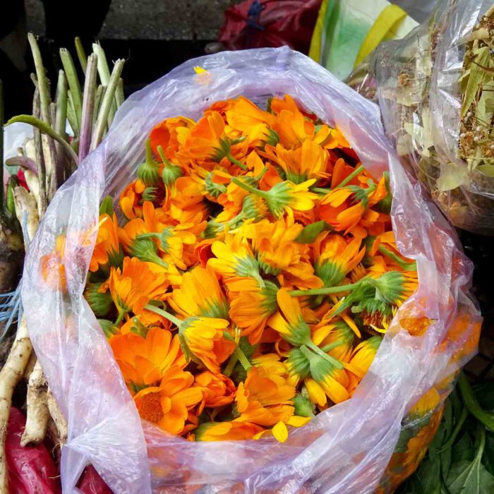 Auf Bauernmärkten werden Heilpflanzen und Kräuter frisch geerntet angeboten. Diese Ringelblumen wurden auf einem rumänischen Wochenmarkt verkauft.
