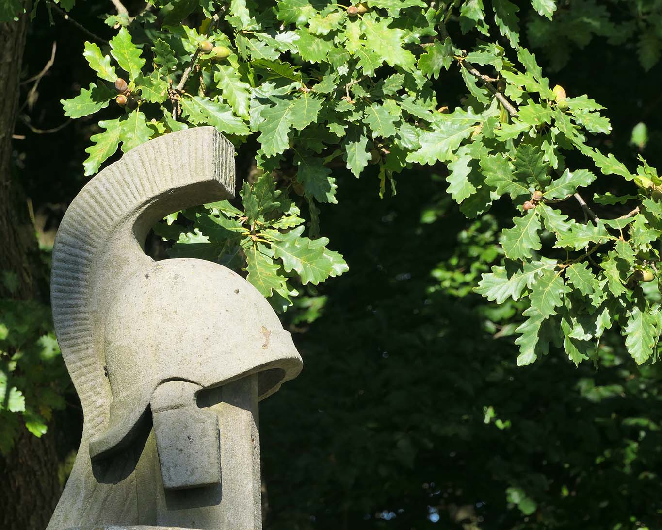 Echte Eichen werden immer wieder als urgermanischer Baum bezeichnet und um sich auf ihn, die Heimat, die Geschichte zu berufen. Dumm nur, dass die Deutsche Eiche auch in anderen Landen zuhause ist. Eichen am Hermannsdenkmal.