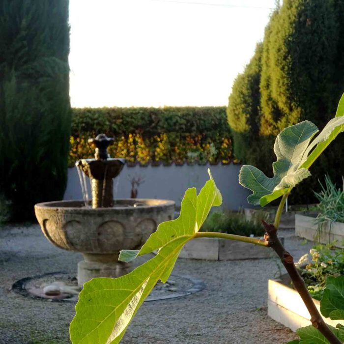 Im Zentrum des Hildegardgartens steht ein Brunnen nach dem klassischen Vorbild des Hortulus, dem klassischen Klostergarten.