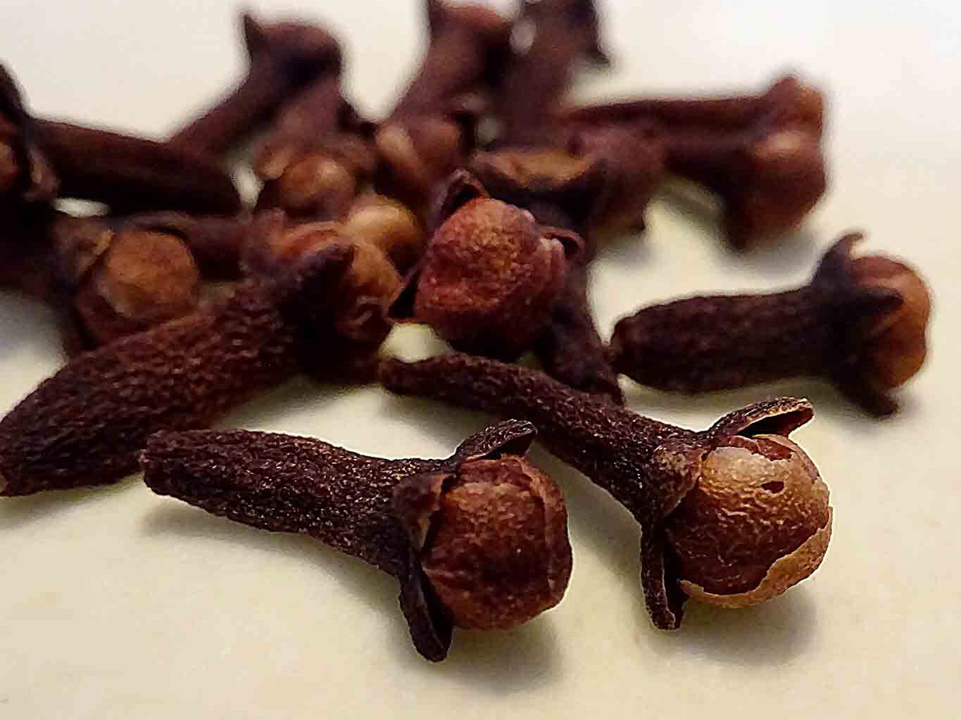 Gewürznelken sind die getrockneten Blütenknospen des Gewürznelkenbaums (Syzygium aromaticum).