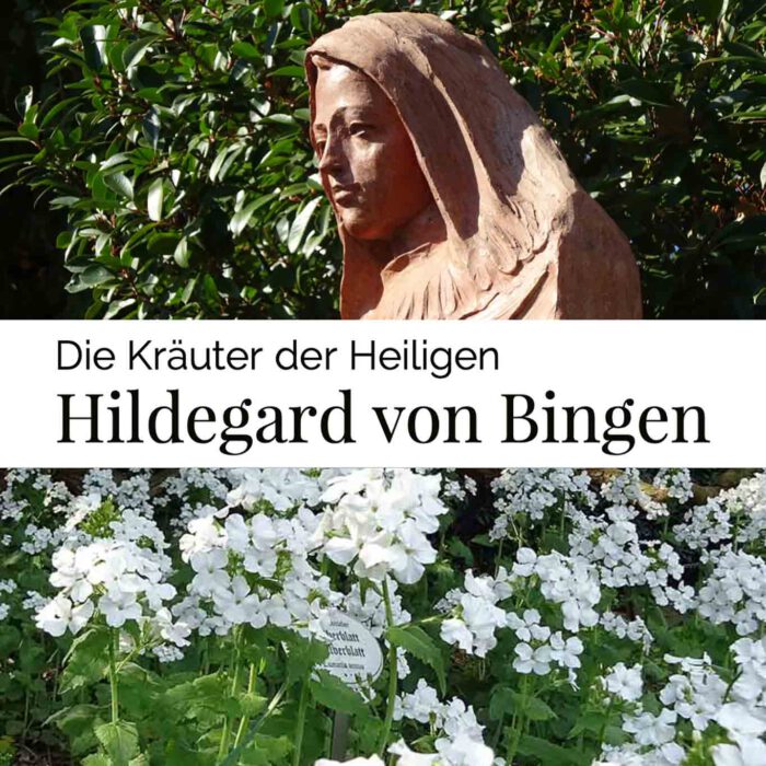 Hildegard von Bingen beschrieb in ihrem Buch "Physica* mehr als 200 heilkräftige Pflanzen.