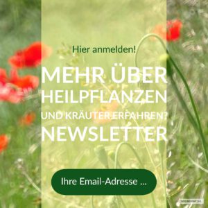 Site-Banner für die Newsletter-Anmeldung auf der Homepage