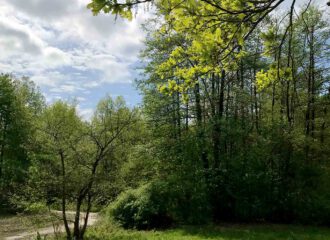 Frühling im Wandsetal.