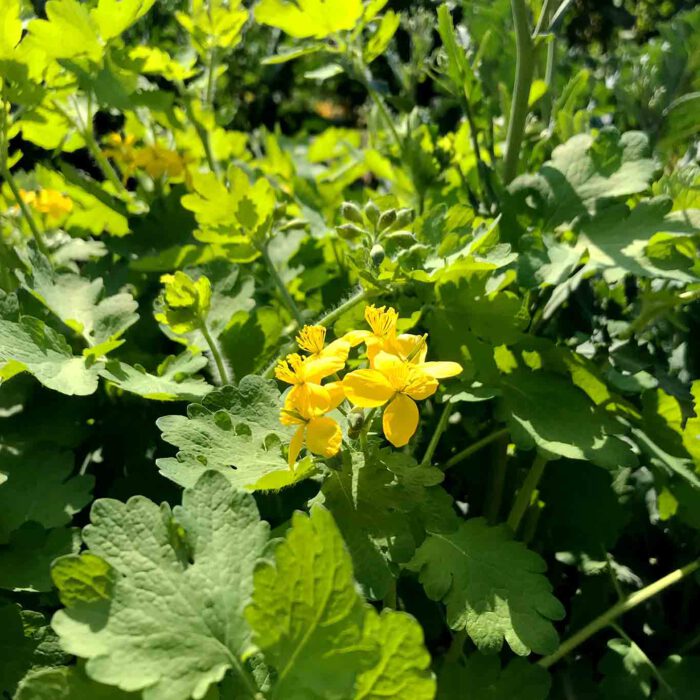 Wetter In Nordrheinwestfalen Ksta De Wetter In Nordrheinwestfalen Ksta De