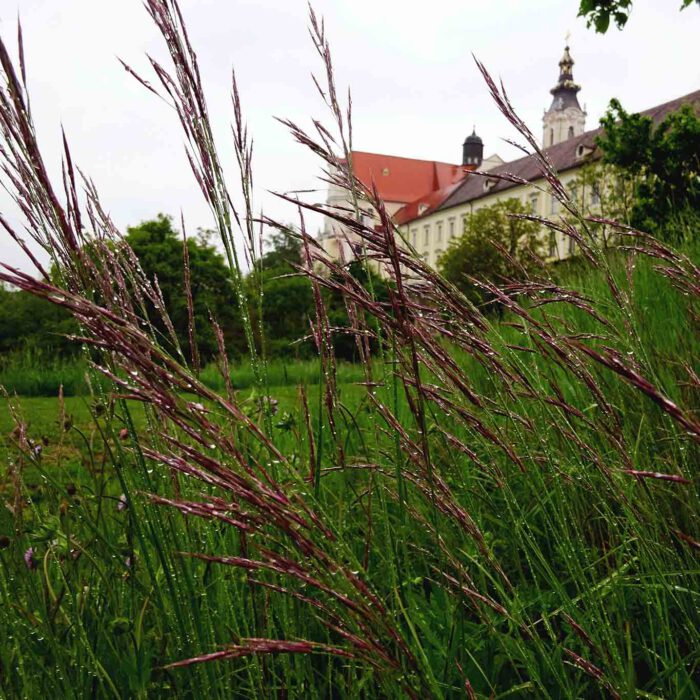 Ein Blick aus dem Garten der Stille auf das Stift Altenburg.