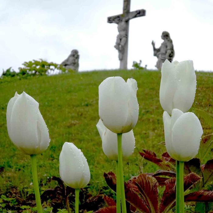 Im Garten der Religionen des Stiftes Altenburg.