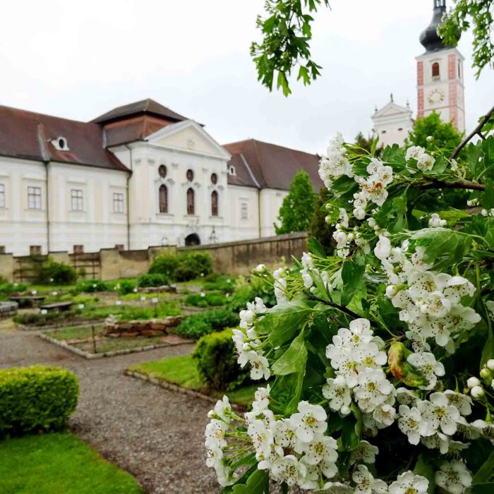 Auf den Spuren des Kräuterpfarrers Weidinger wandeln  oder Ruhe im Waldviertel finden, dazu lädt das Prämonstratenser-Stift Geras mit seinem bekannten Kräutergarten ein.