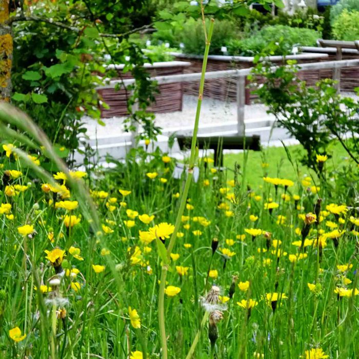 In Weidenflechtwerk gefasste Hochbeete in Bad Mühlacken.