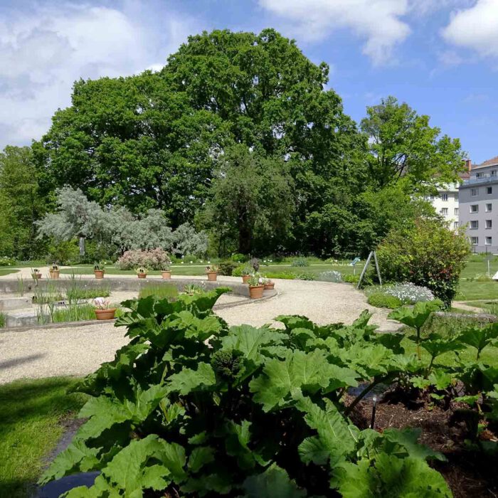 Der botanische Garten in Wien ist auch ein Bürgerpark.