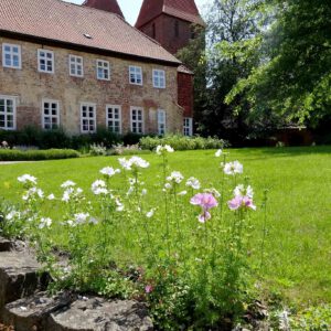 Manch zartes Pflänzchen sucht einen besonderen Ort.