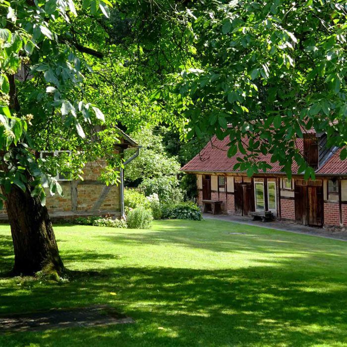 Der schattenspendende Walnussbaum im Klostergarten.