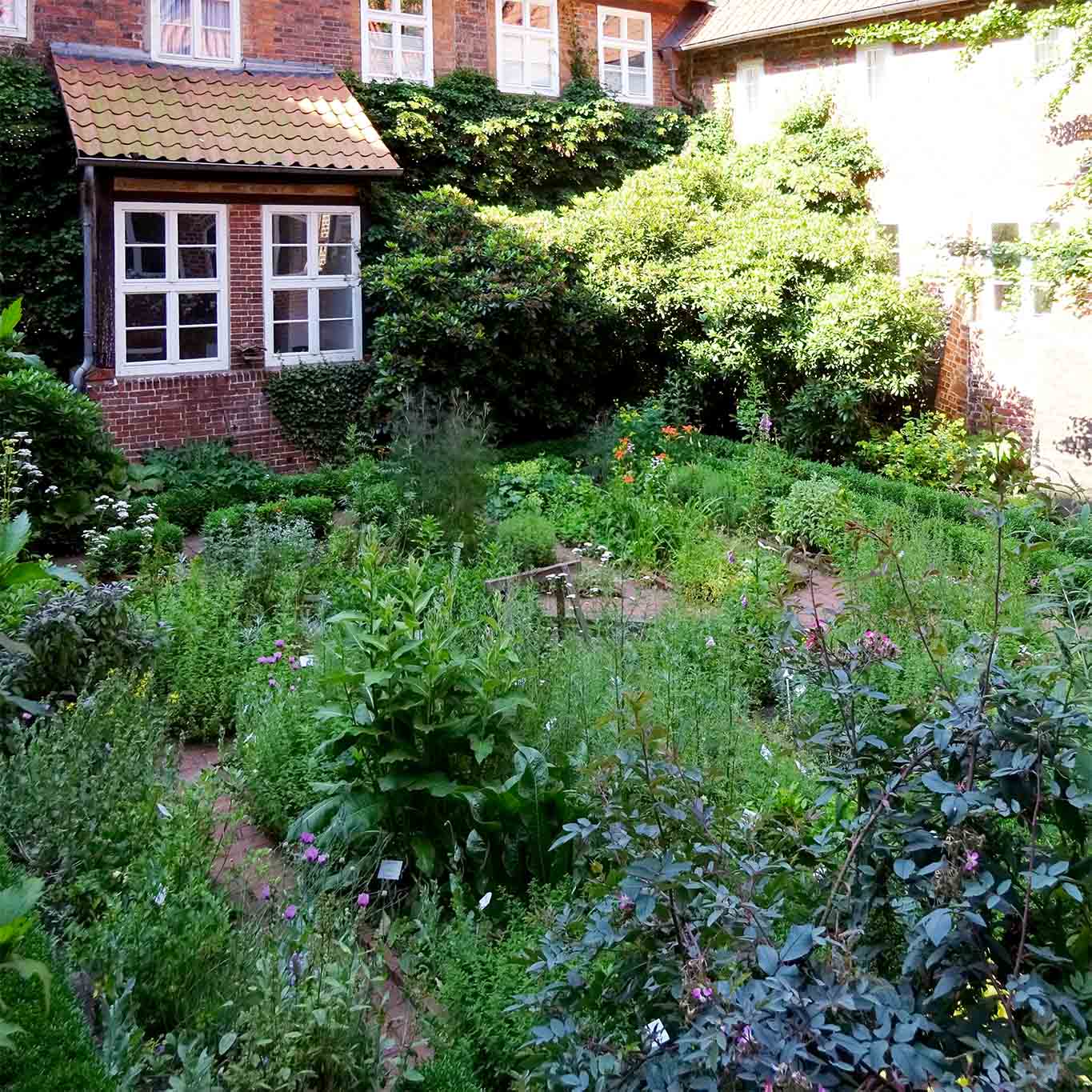 Geordneter Wildwuchs im Klostergarten.