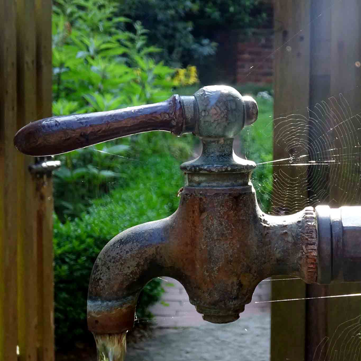 Die Spinnen sind schneller als die Nutzer des Wasserhahns und weben ihre Netze.