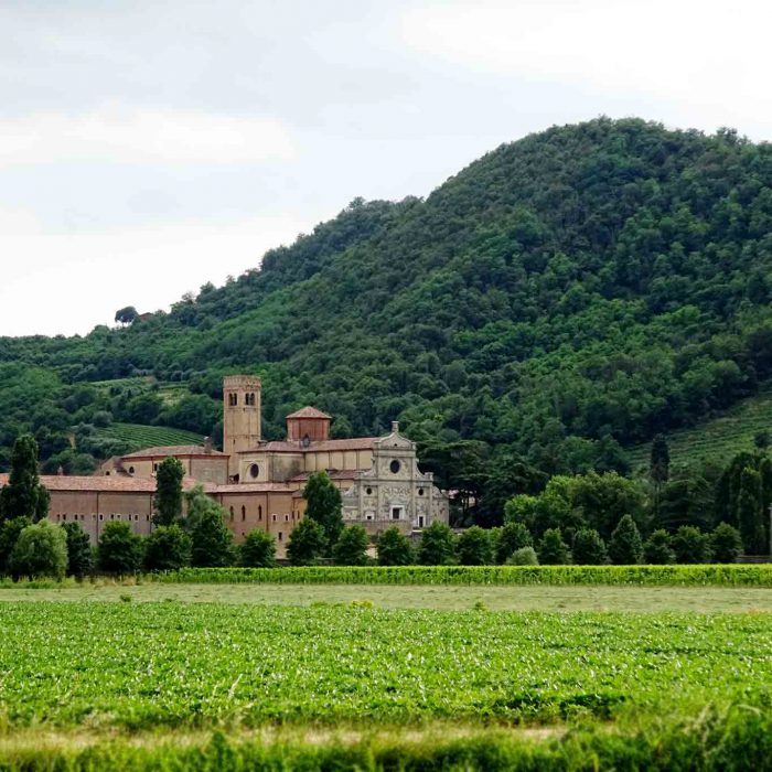 Die Abbazia lebt und lebte schon immer von der Landwirtschaft.