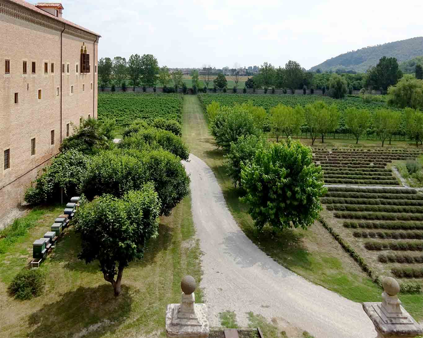 Ein beeindruckender Blick in die Landschaft und auf die Gärten bietet sich von der Loggia,