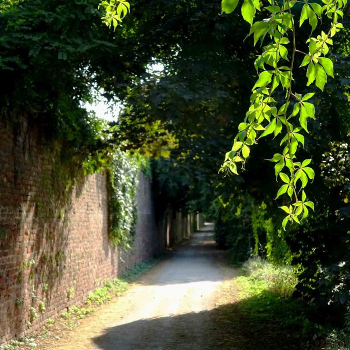 Über einen romantischen Fussweg gelangt man zur Certosa di Pavia.