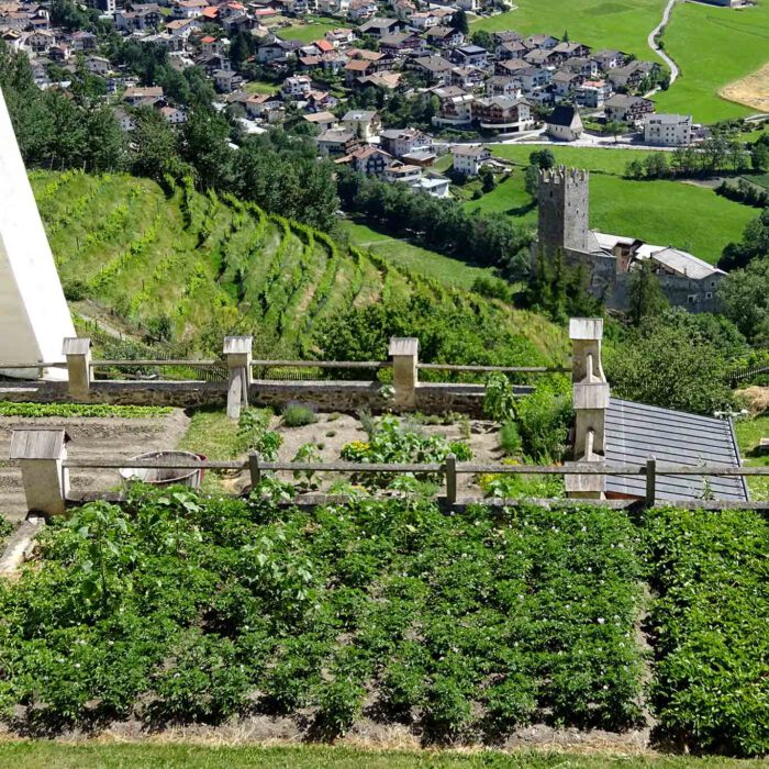 Die raren Flächen der terrassenförmigen Gärten werden als Nutzgärten genutzt.