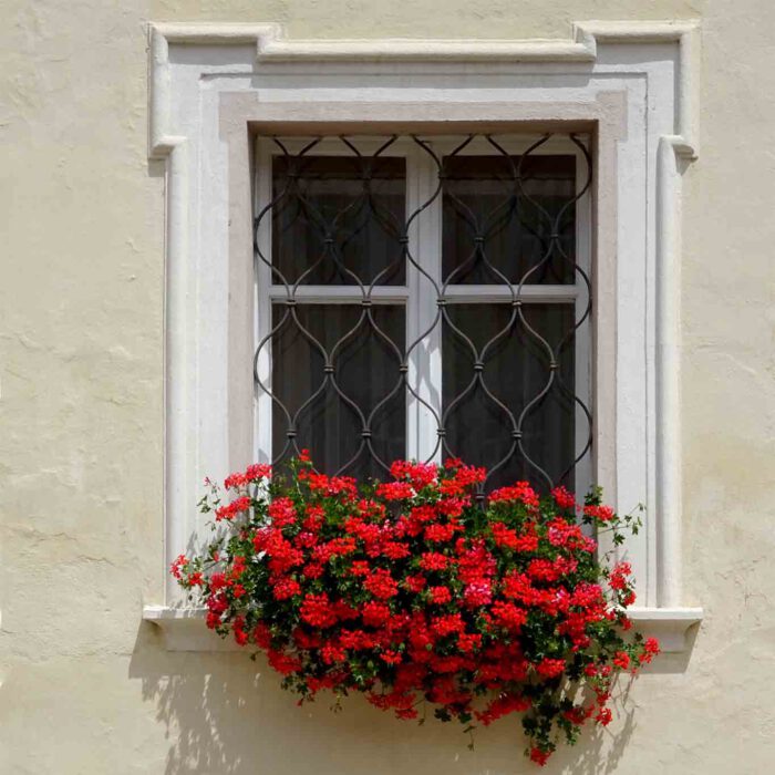 Wahre Schönheit kommt von innen und hängt manchmal als Blumenkasten vor dem Fenster.