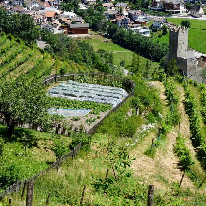 Obst- und Gemüsegärten sind terrassenförmig am Berg angelegt.