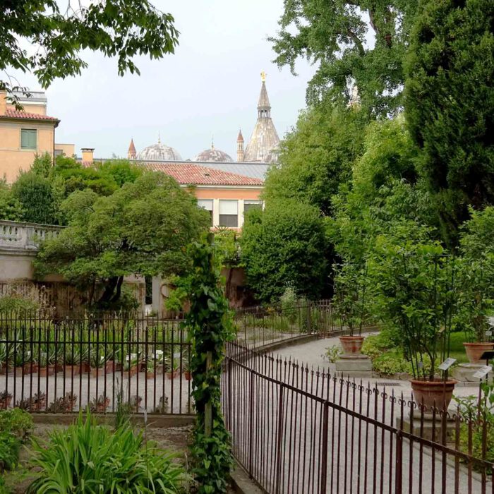 Im Hintergrund sind immer wieder die Basilika des Heiligen Antonius sichtbar.