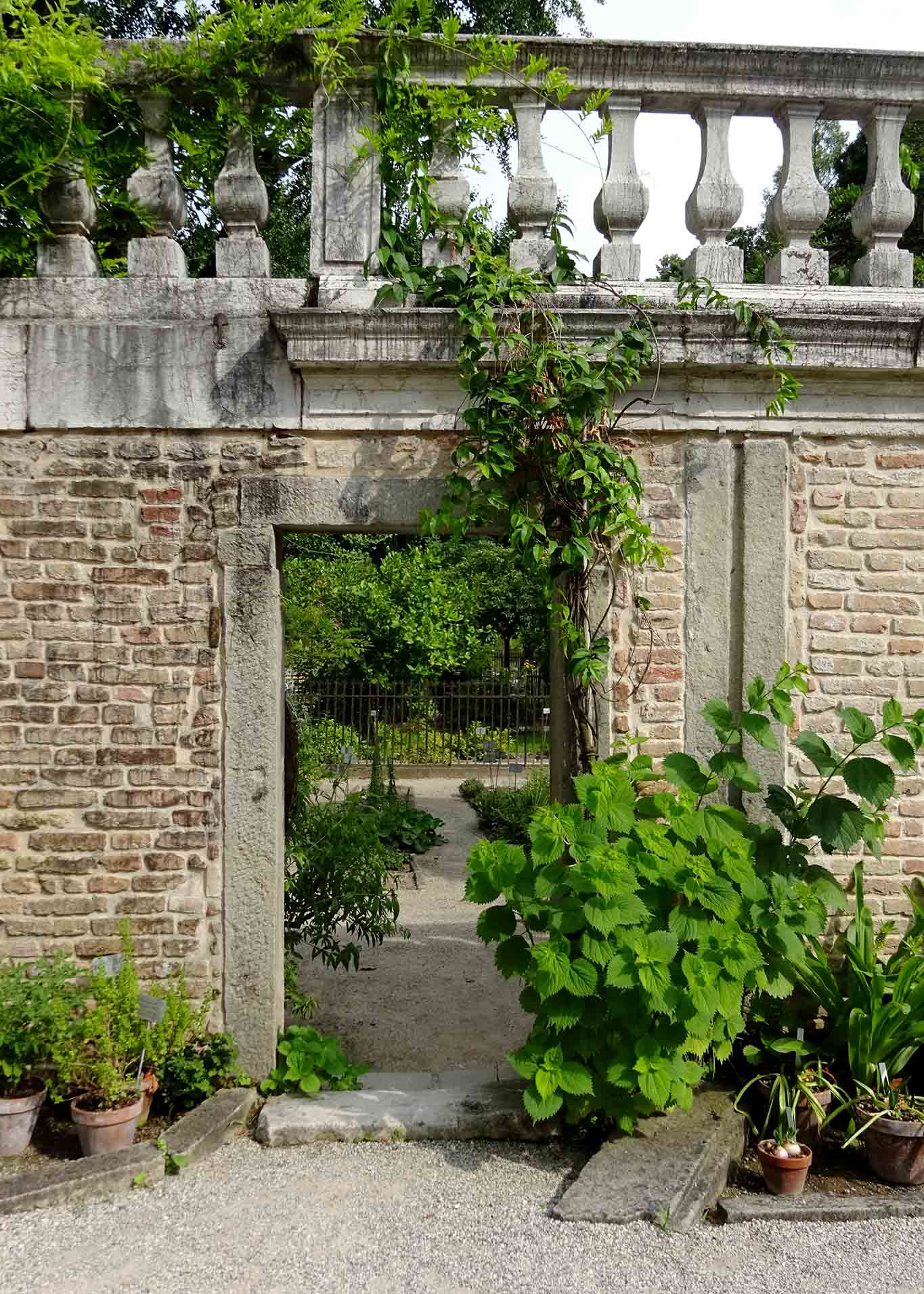 Mit einer runden Mauer ist der historischen botanische Garten in Padua umstanden.