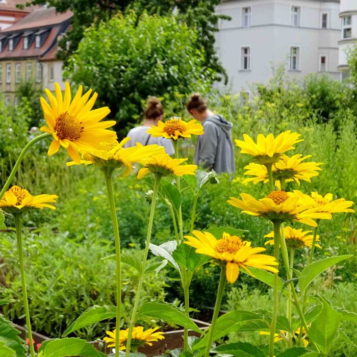 Ein Gang durch den Klostergarten ist auch eine Entdeckungsreise.