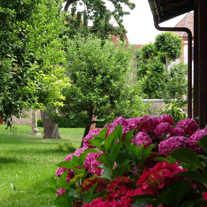 Der Garten ist zweigeteilt. In den Obstgarten und den Nutzgarten.