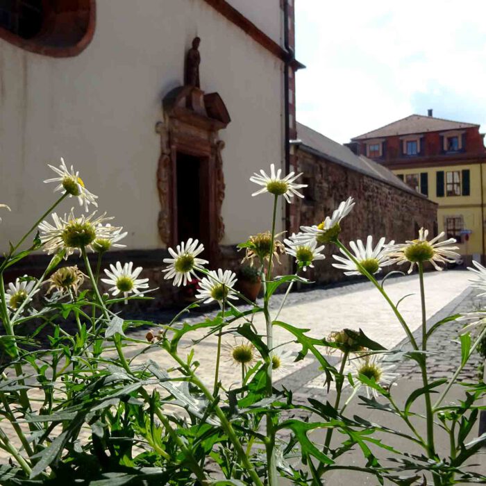 Die Pforte zum Fuldaer Kloster St Maria.