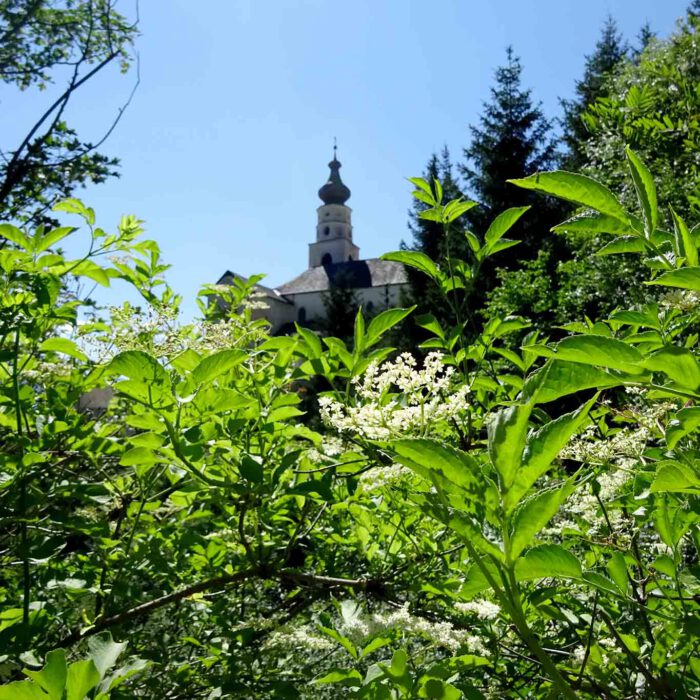 Das Kloster Marienberg ist eingebettet in die artenreiche Natur der vinschgauer Berge.