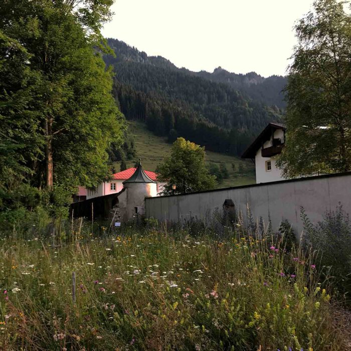 Futter für die Bienen sind die angelegten Wildwiesen.