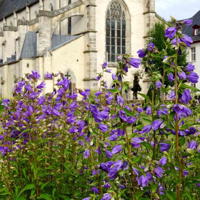 Gottes Garten ist bunt.