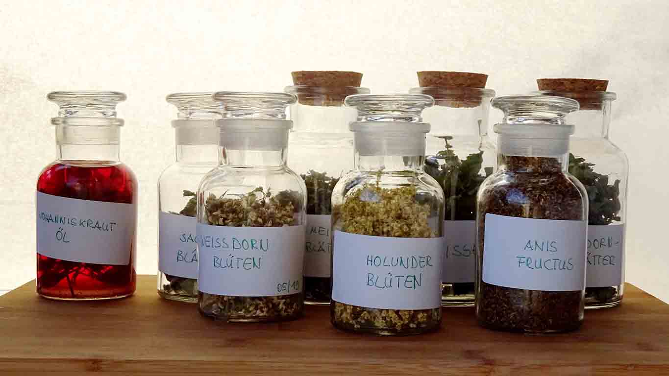 Heilkruter richtig aufbewahren I Wiesenwohl