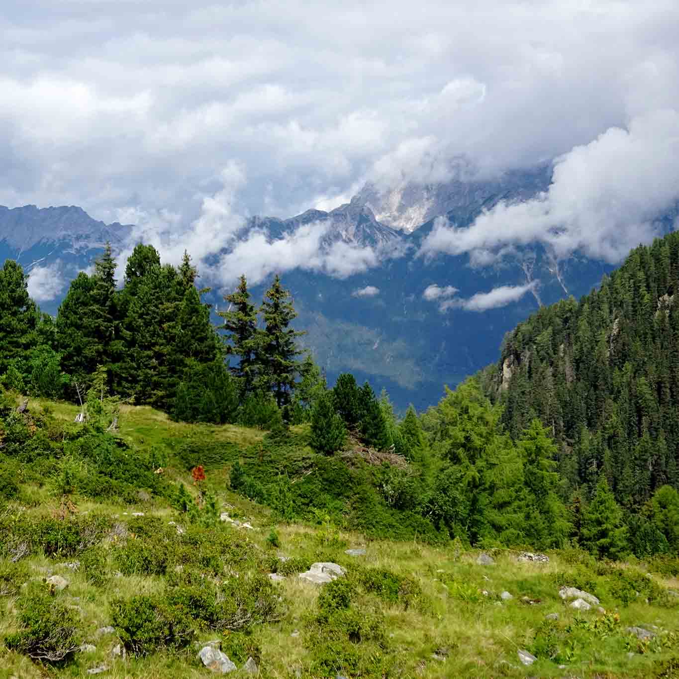 Blick von der Stamser Alm ins Inntal.