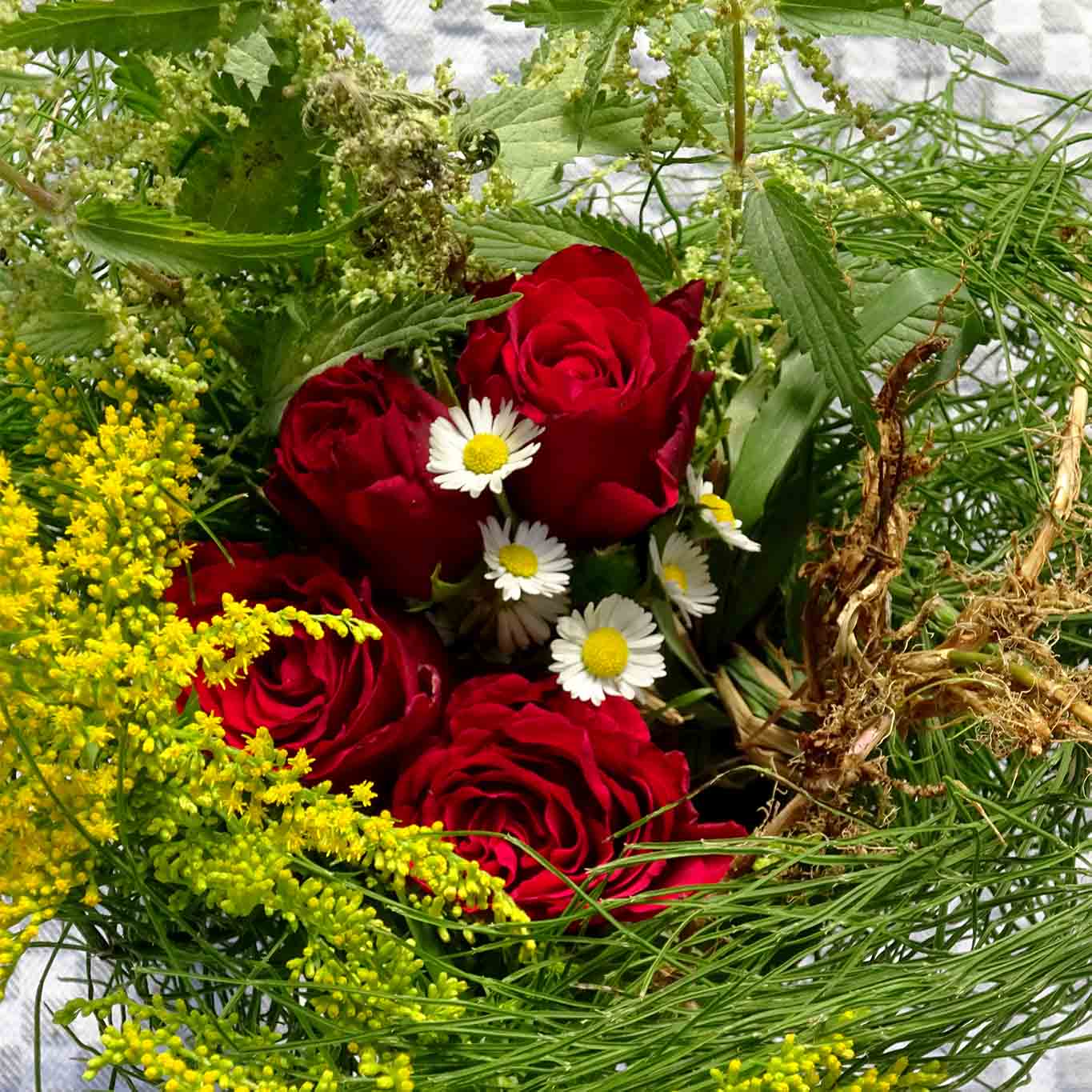 Schöne Haut lässt sich erzielen mit einer Kräutermischung aus Goldrute, Ackerschachtelhalm, Queckenwurzel, Brennnesseln, Gänseblümchen und Rosenblättern.