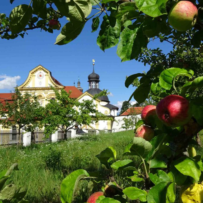 Von den zahlreichen Gärten der Zisterzienserabtei Stift Stams ist nur noch der Barockgarten erhalten. Kräuter findet man zahlreich in den Wäldern und auf den Almen ringsum.