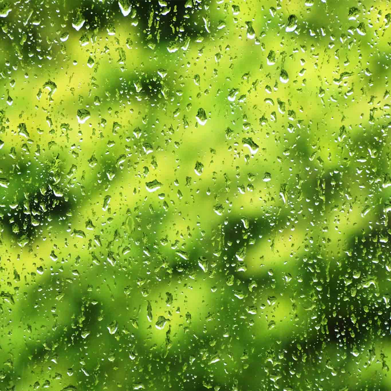 Wenn die Fenster vollregnen, der Wind um die Hausecke bläst, zeigt der Herbst bereits seine kalte Schulter.