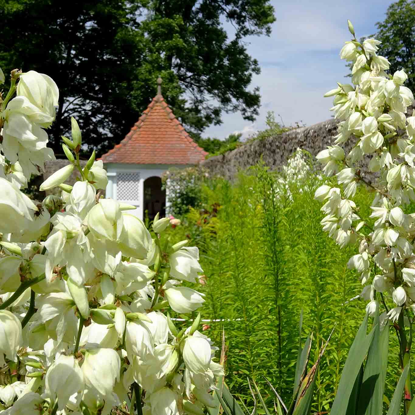 Impressionen aus dem Klostergarten Frauenberg der Franziskaner zu Fulda.