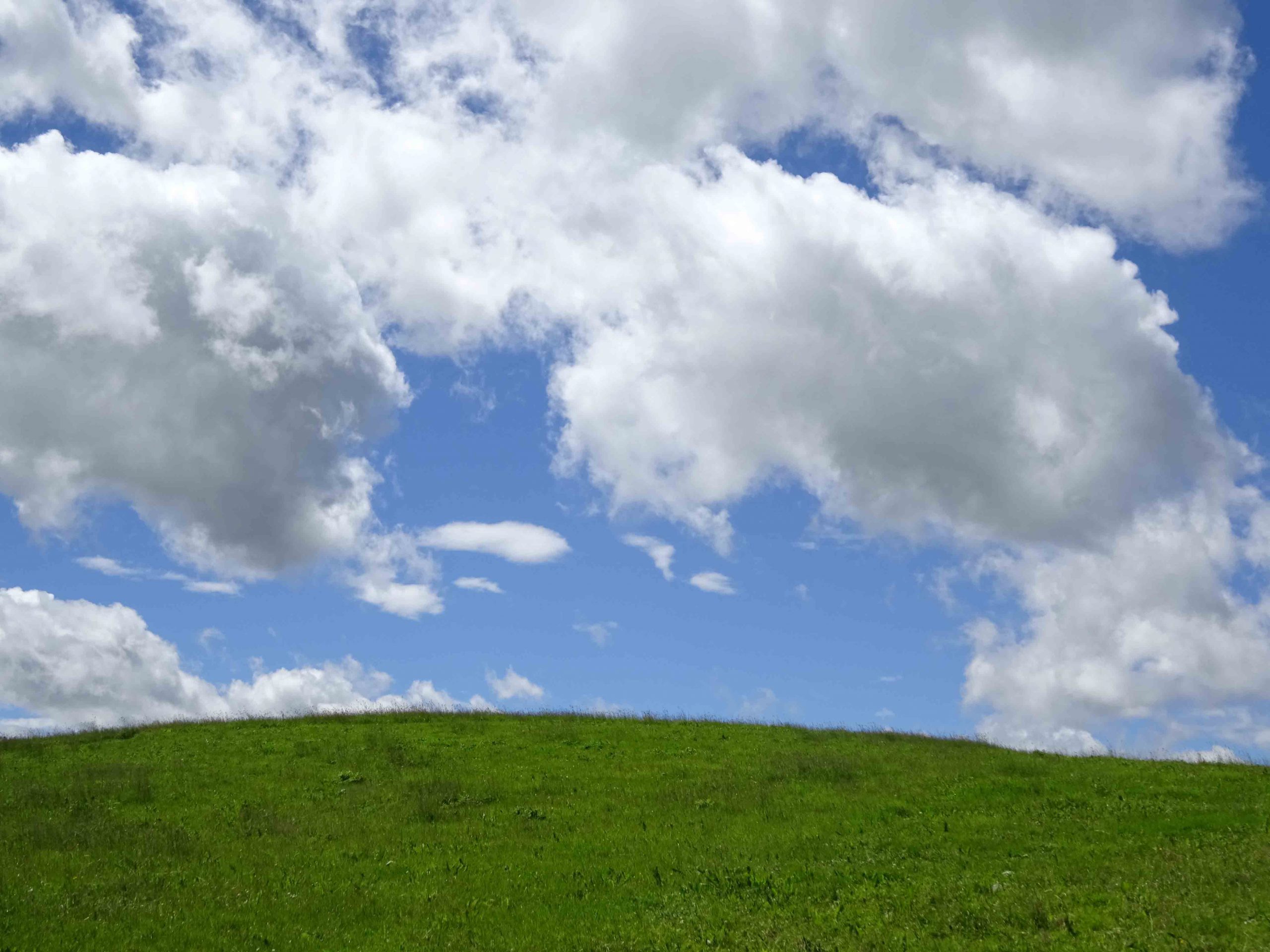 Die Frühlingsbrise treibt die weissen Wolken wie eine Schafsherde über den blauen Himmel.