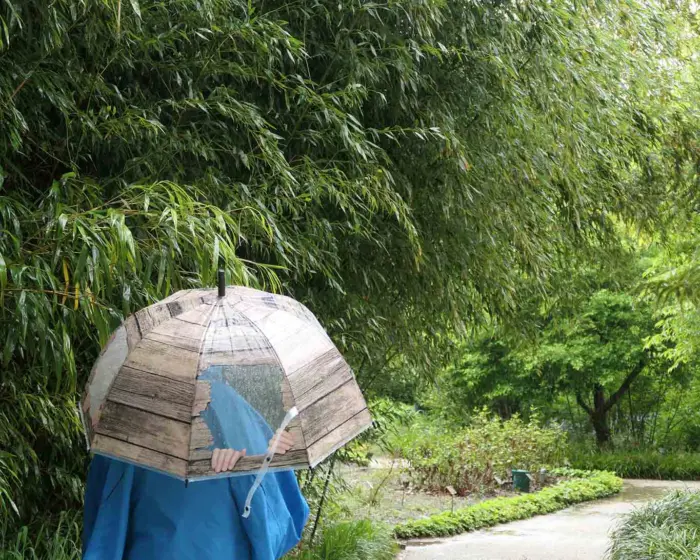 umbrella de hortus amsterdam