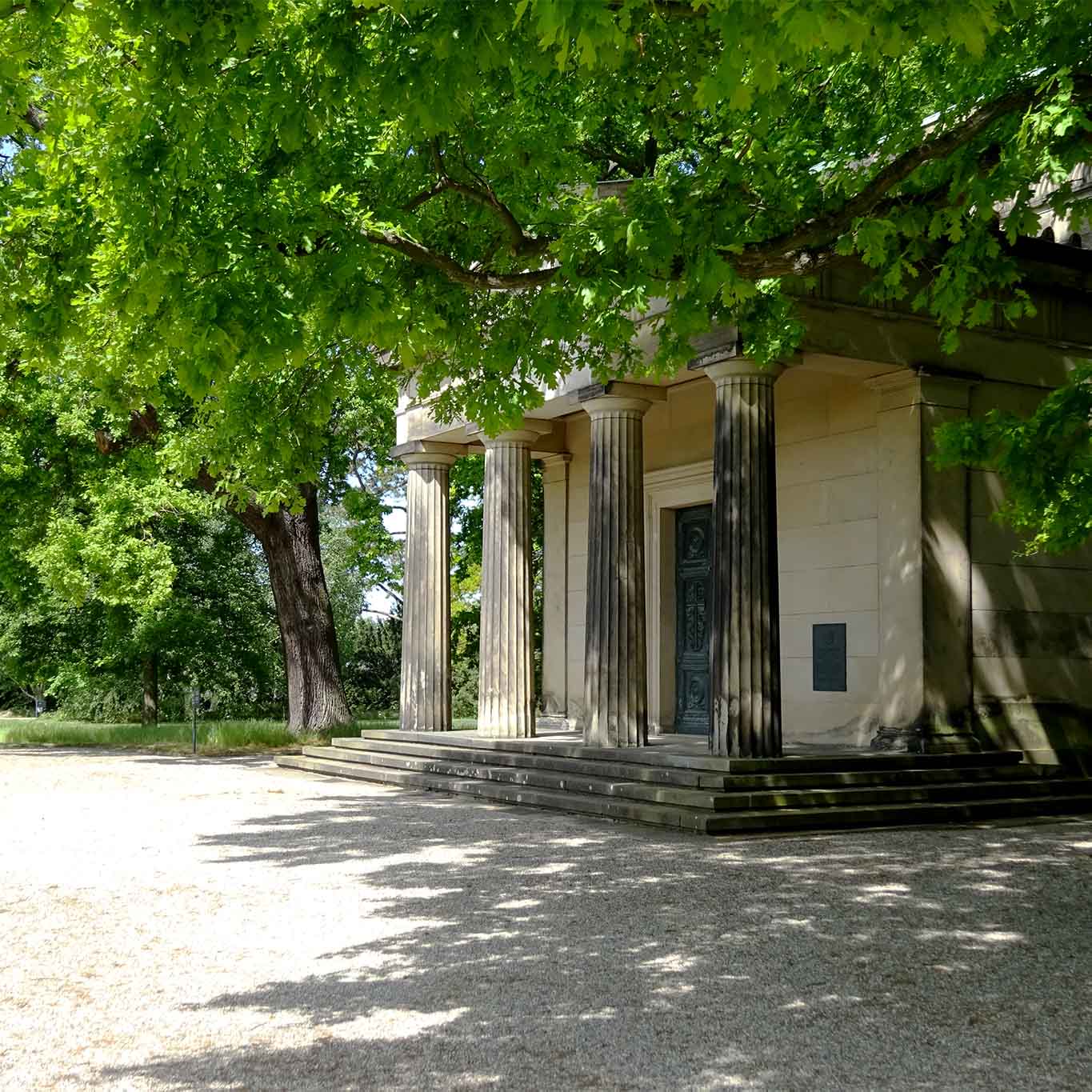 Stieleichen am Mausoleum in den Herrenhäuser Gärten Hannover.