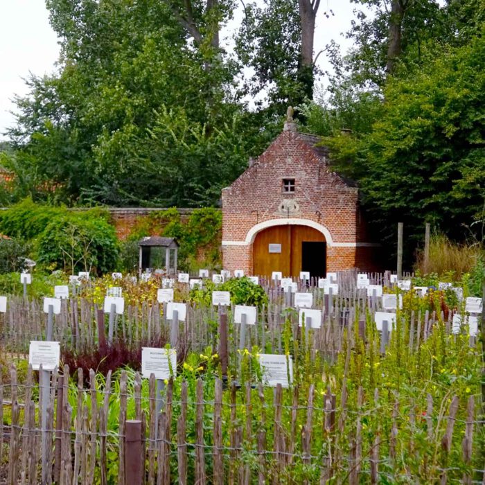 Ein Heilkräutergarten wie aus vergangenen Zeiten.