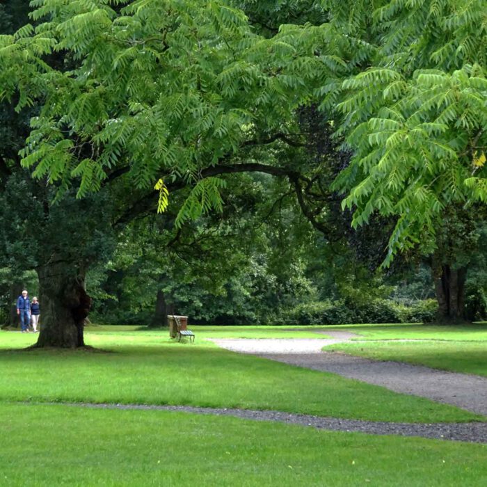 Im Park der Abbaye du Val Dieu