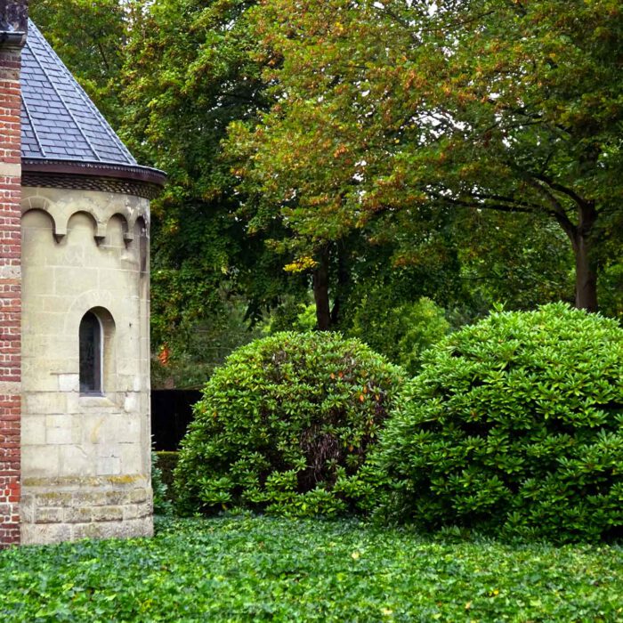 Kugelige Rhododendronbüsche an der Abteikirche der Abdij Postel.