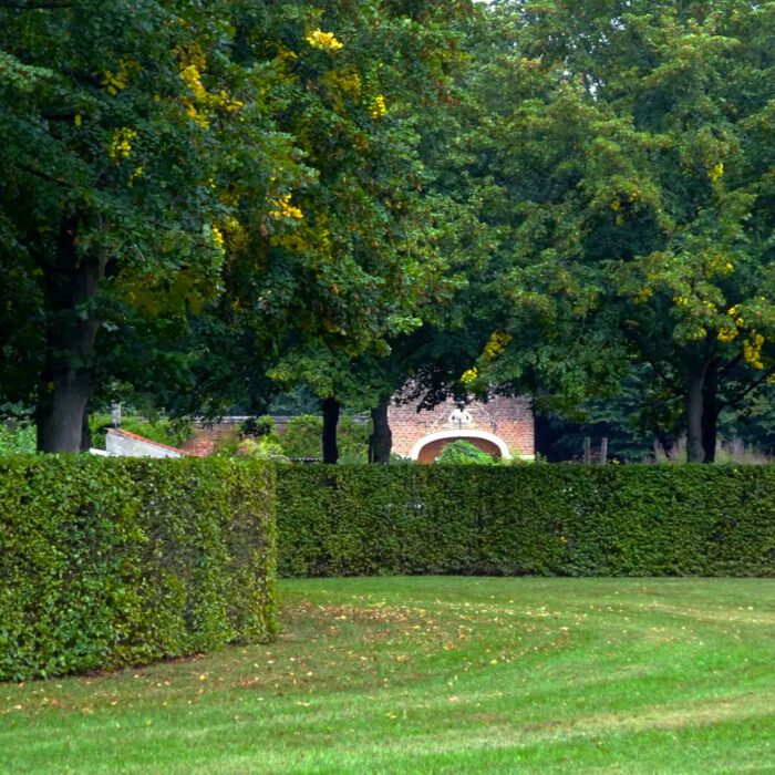 Ein Teil des Klosterparks ist der Heilpflanzengarten versteckt hinter hohen Hecken.