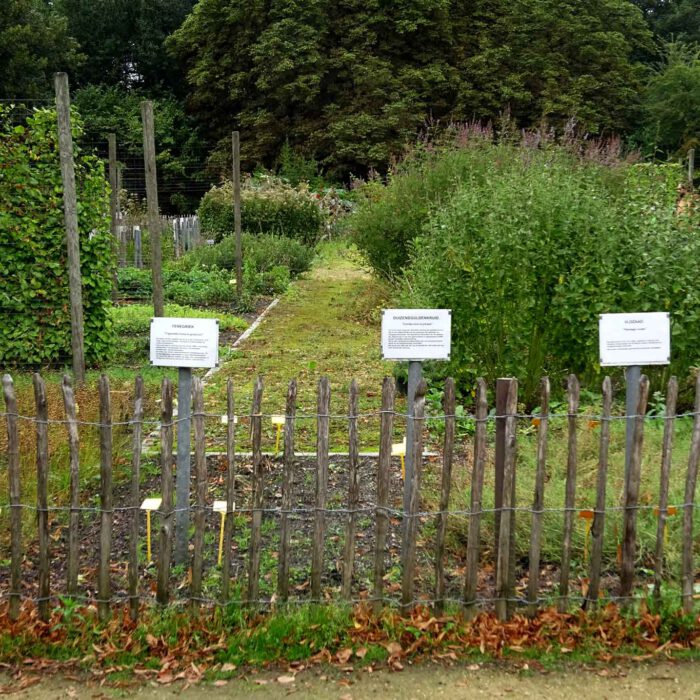 Grosse Schilder und Lattenzäune sind das Markenzeichen des Heilpflanzengartens der Abdji Postel.